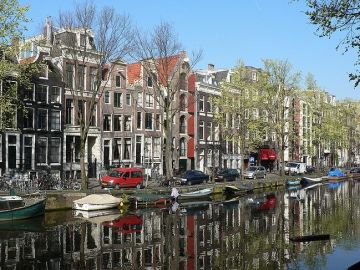Amsterdam. Ciudad Dog Friendly Amsterdam. Ciudad Dog Friendly