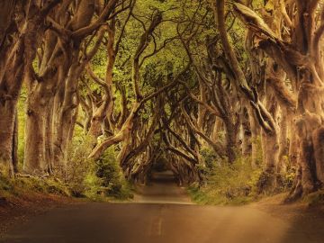 Irlanda Irlanda