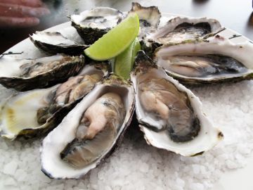 Ostras Ostras