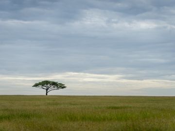 África África