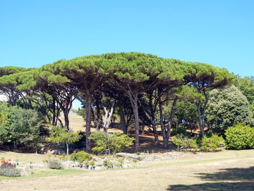 Parques Parques