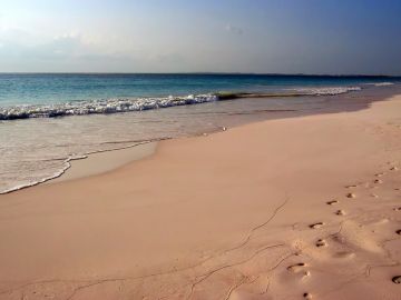 Playas rosas Playas rosas