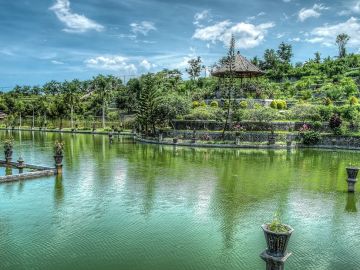 Bali Bali