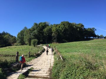 Camino de Santiago Camino de Santiago