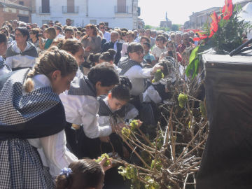Fiesta de la vendimia de Rueda Fiesta de la vendimia de Rueda